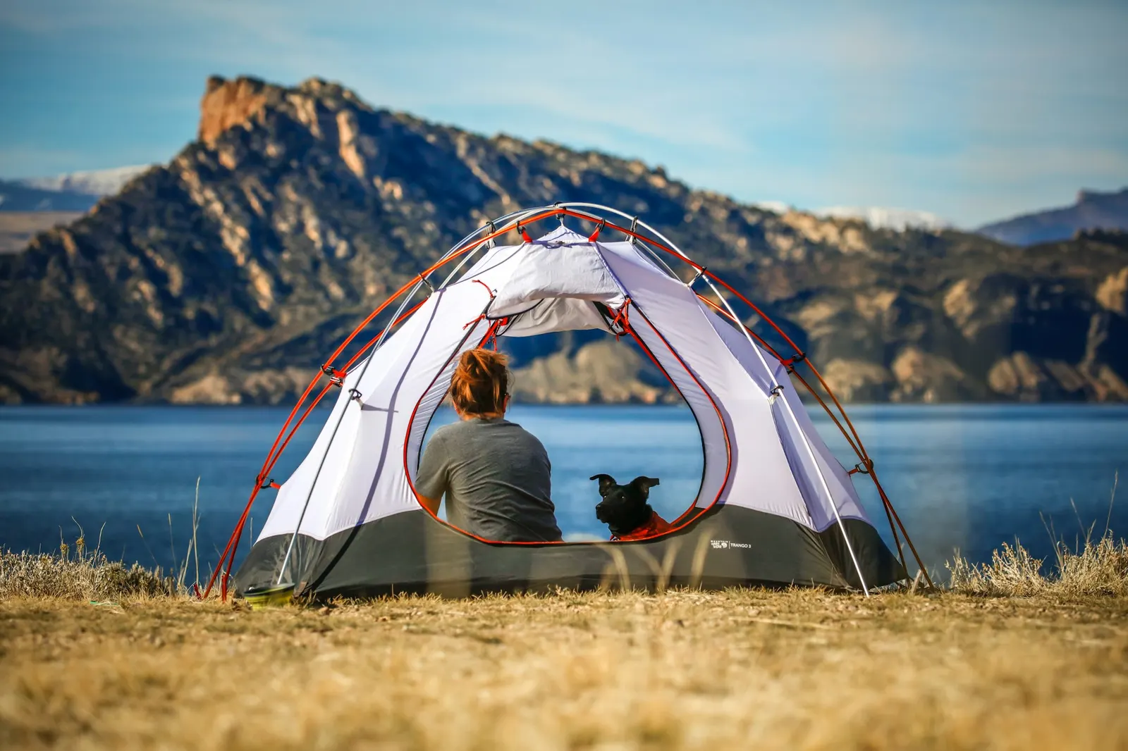 A camper and a small dog sitting inside a tent pitched beside a calm lake with a mountain behind