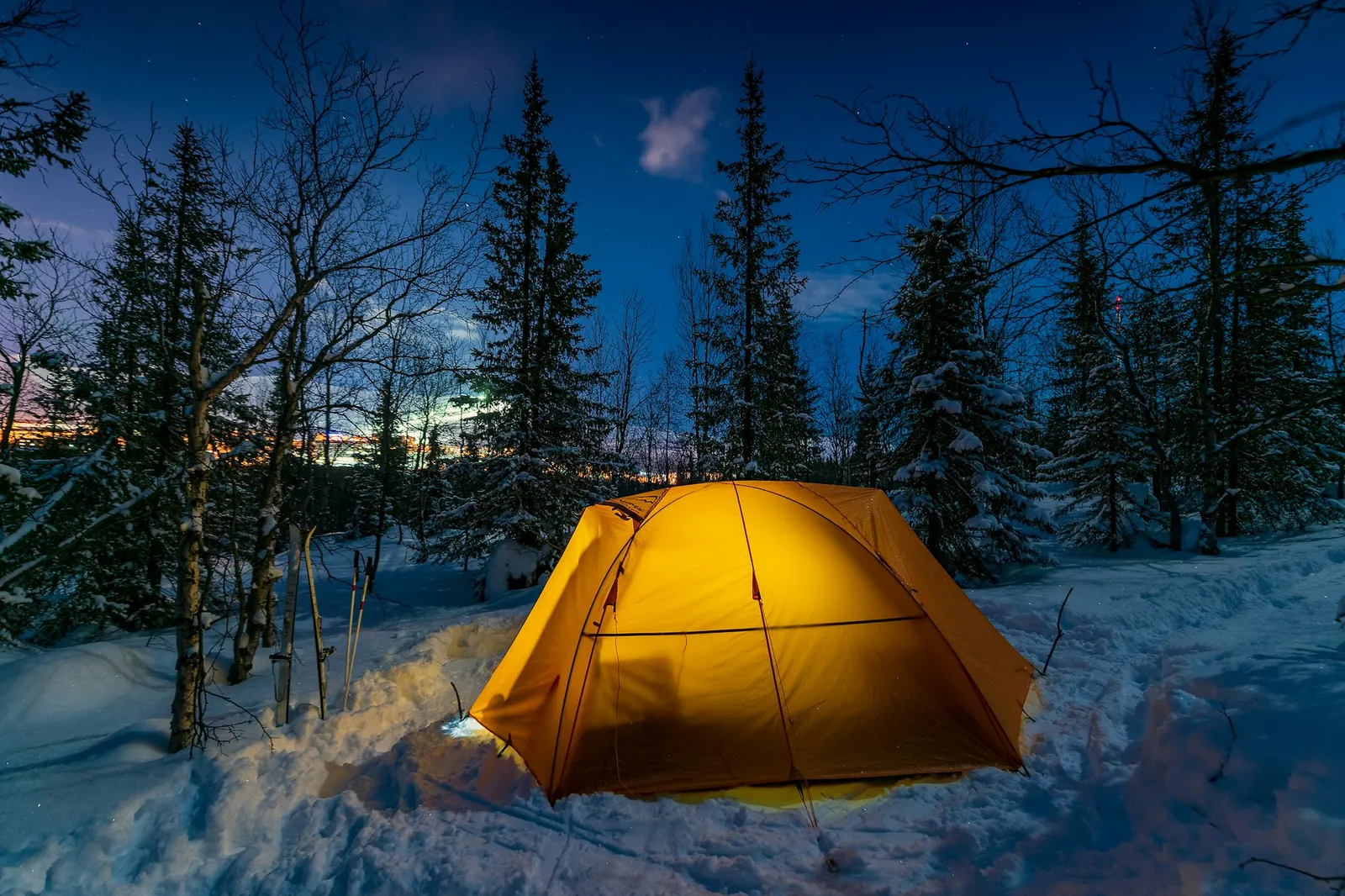 A glowing yellow tent pitched in snow among dark pine trees at night